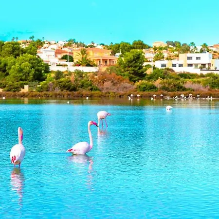 Apartamento With Pool & Gym *